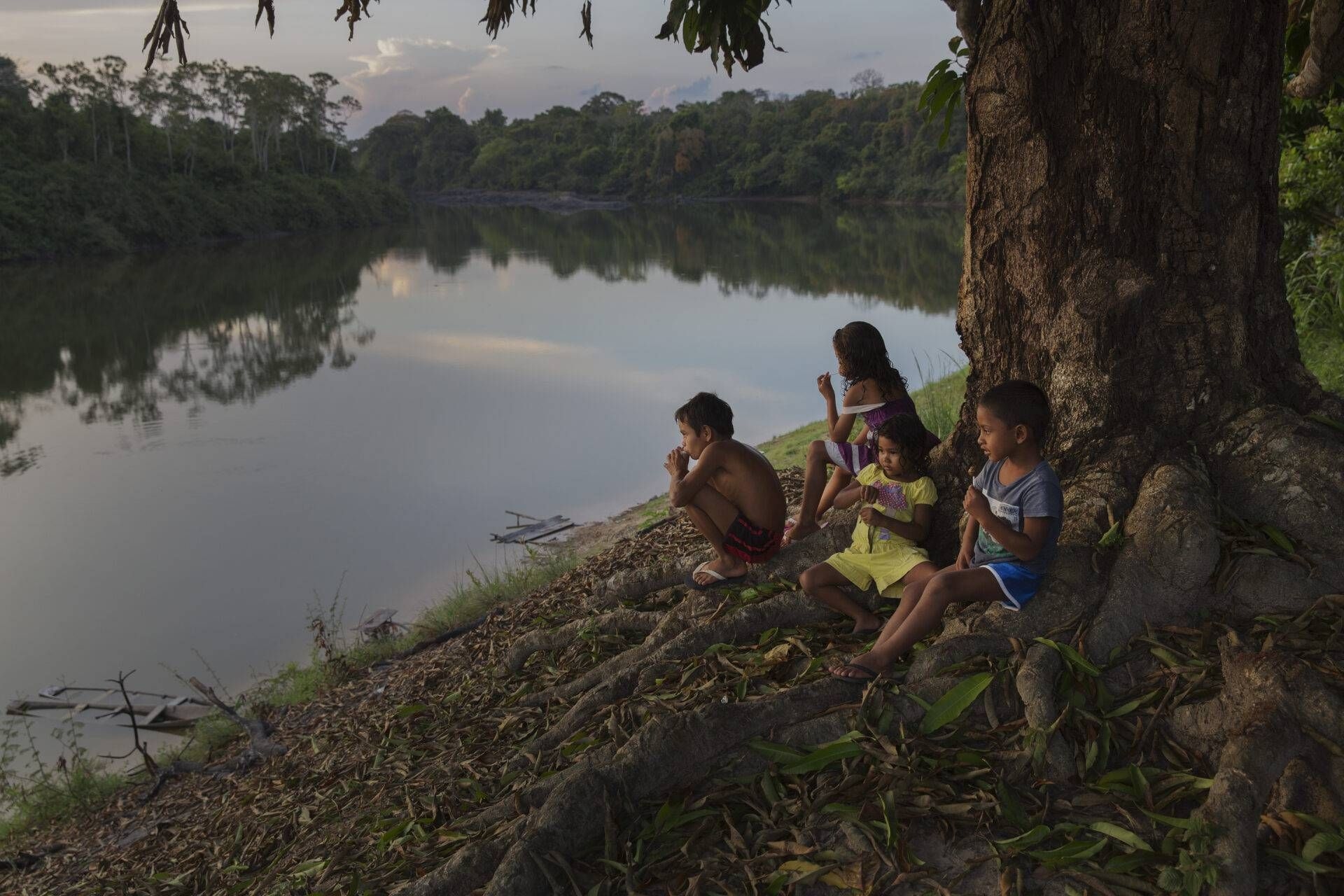 FISCALIZAÇÃO AMBIENTAL 