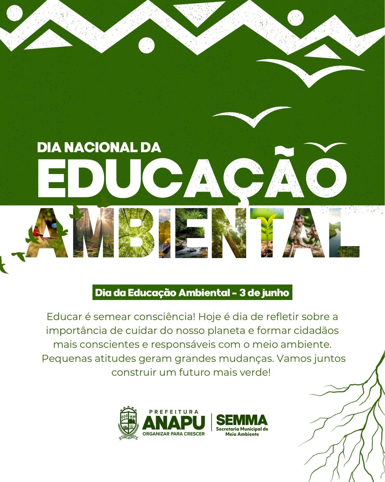 Prefeitura de Anapú